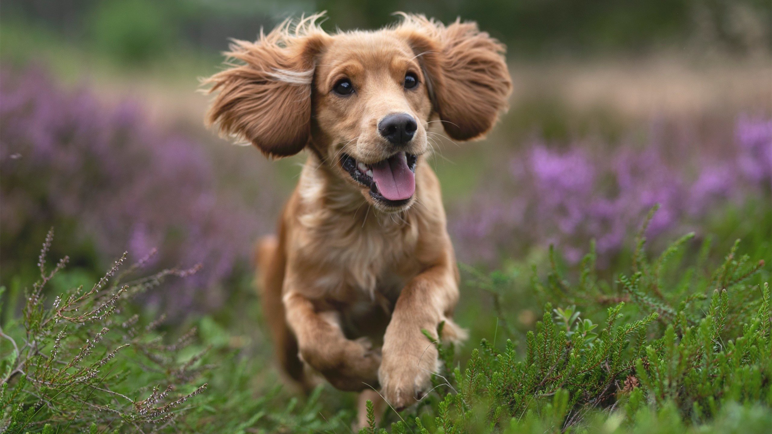 国足攻守两端失误点位置热图，国足打法